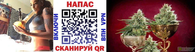 где продают наркотики  Коломна  Марихуана тримм 